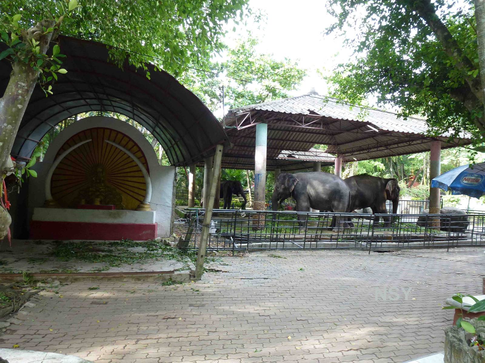Elephant enclosure, June 2013.