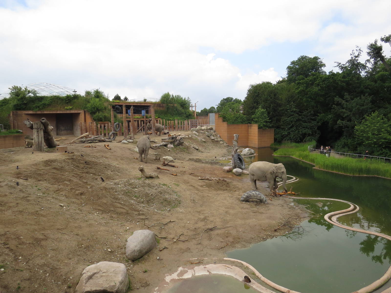 Elephant enclosure, June 2015.