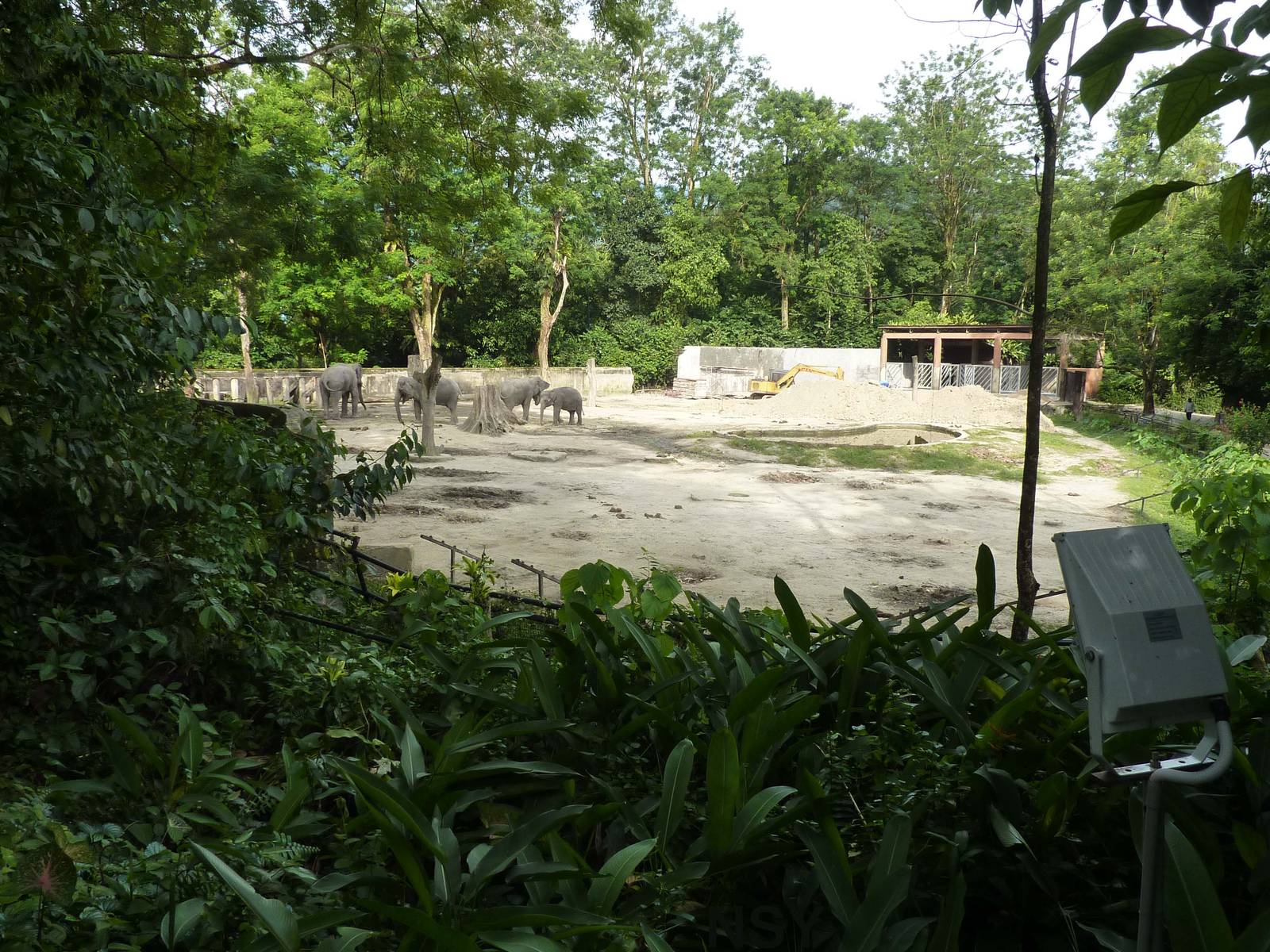 Elephant enclosure, May 2013