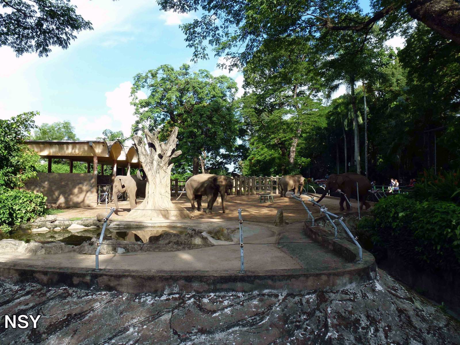 Elephant enclosure, May 2013.