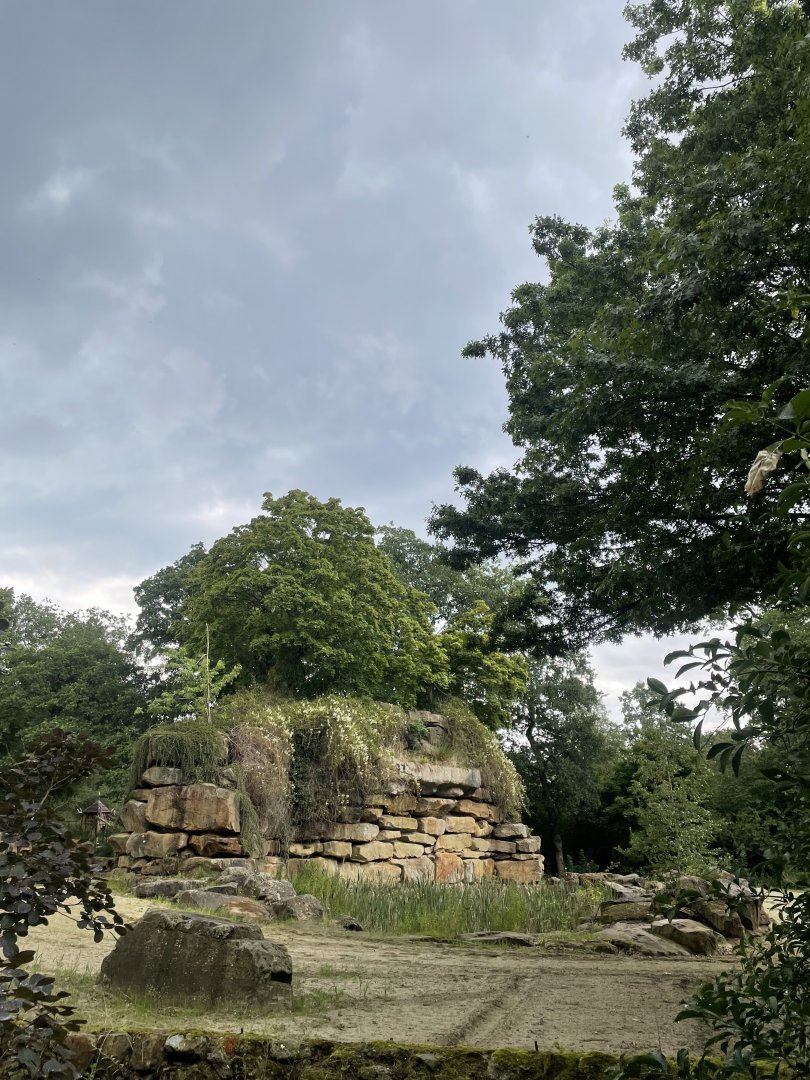 Elephant enclosure of the old park