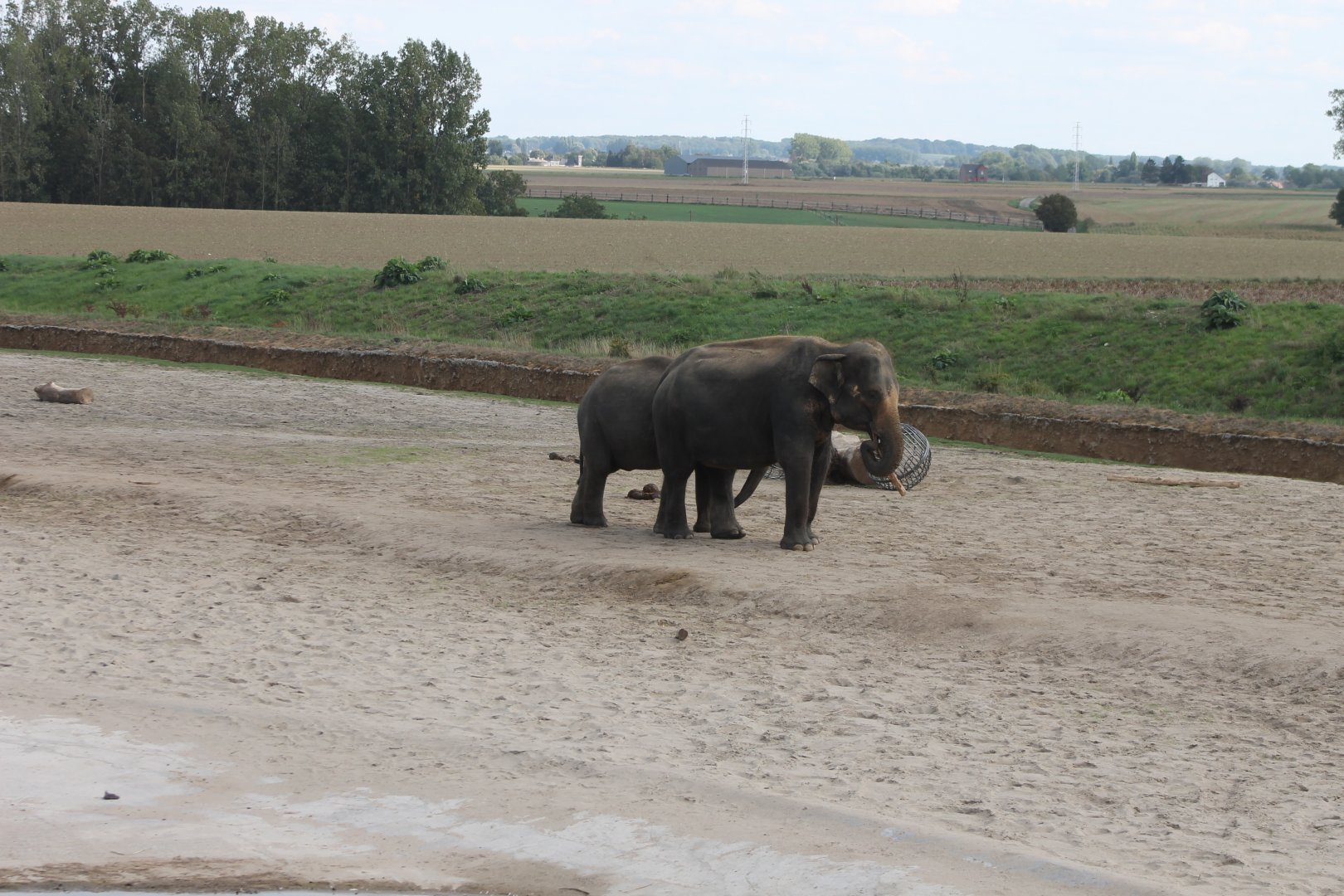 Elephant enclosure outside the walls of the park