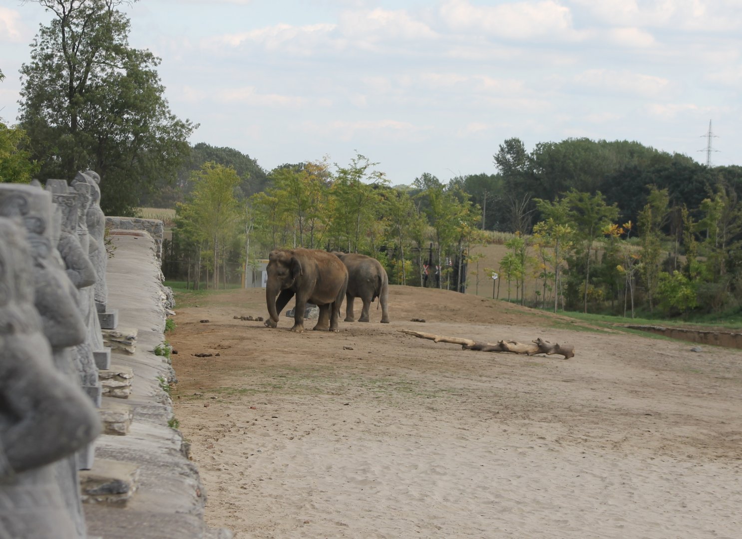 Elephant enclosure outside the walls of the park