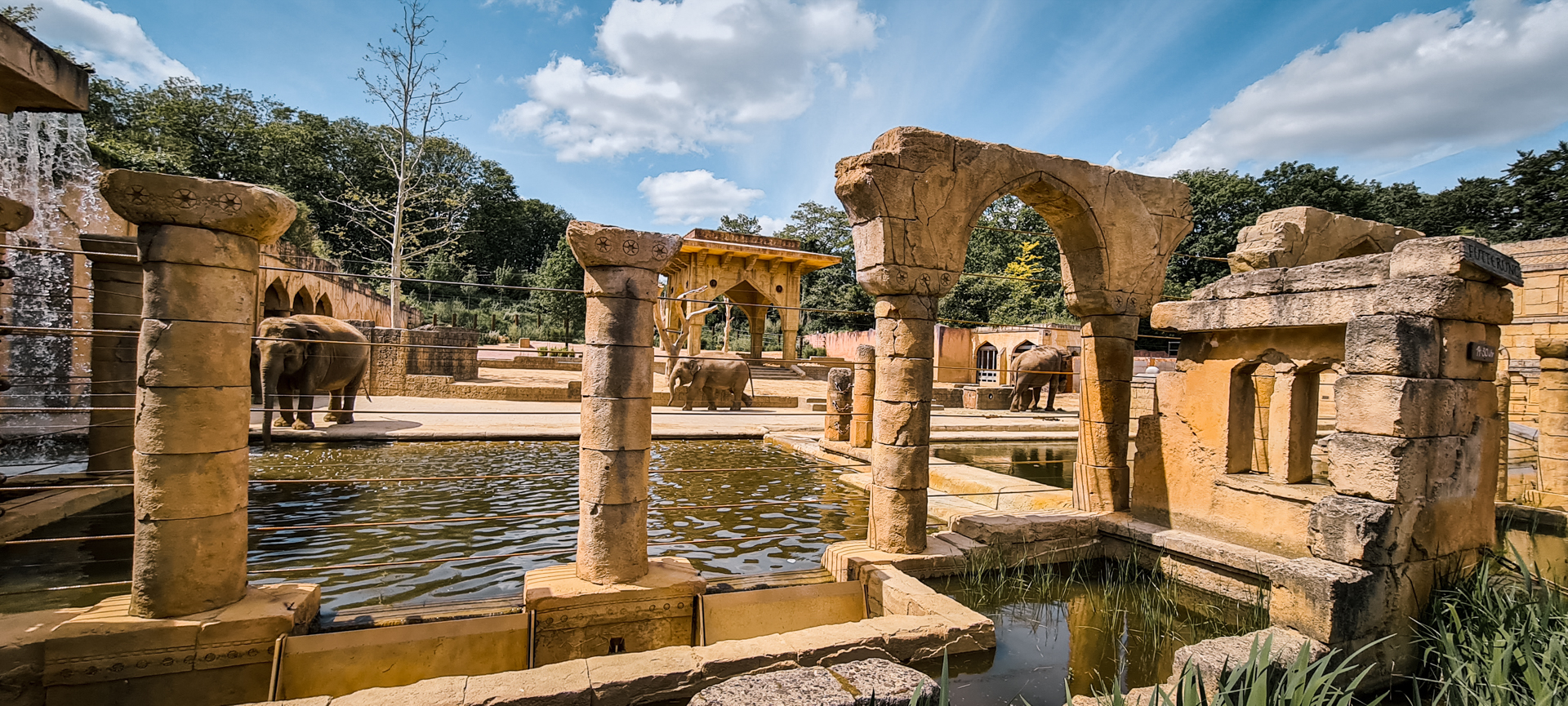 Elephant enclosure view 1