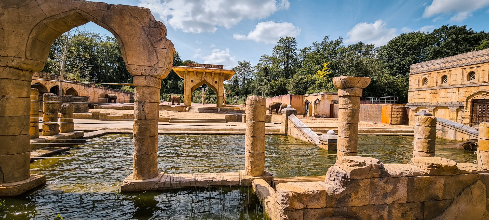 Elephant enclosure view 2