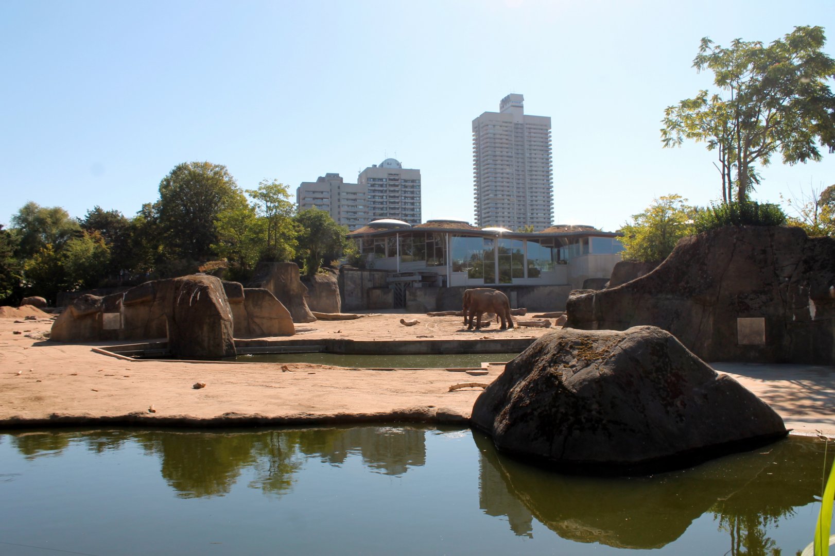 Elephant Enclosure View
