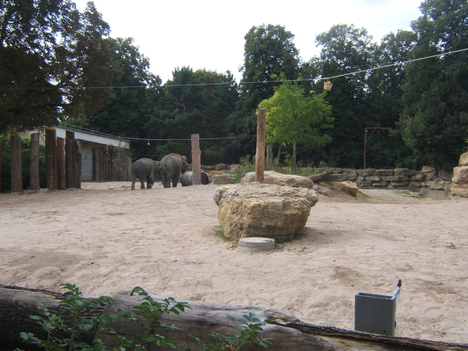 Elephant enclosure