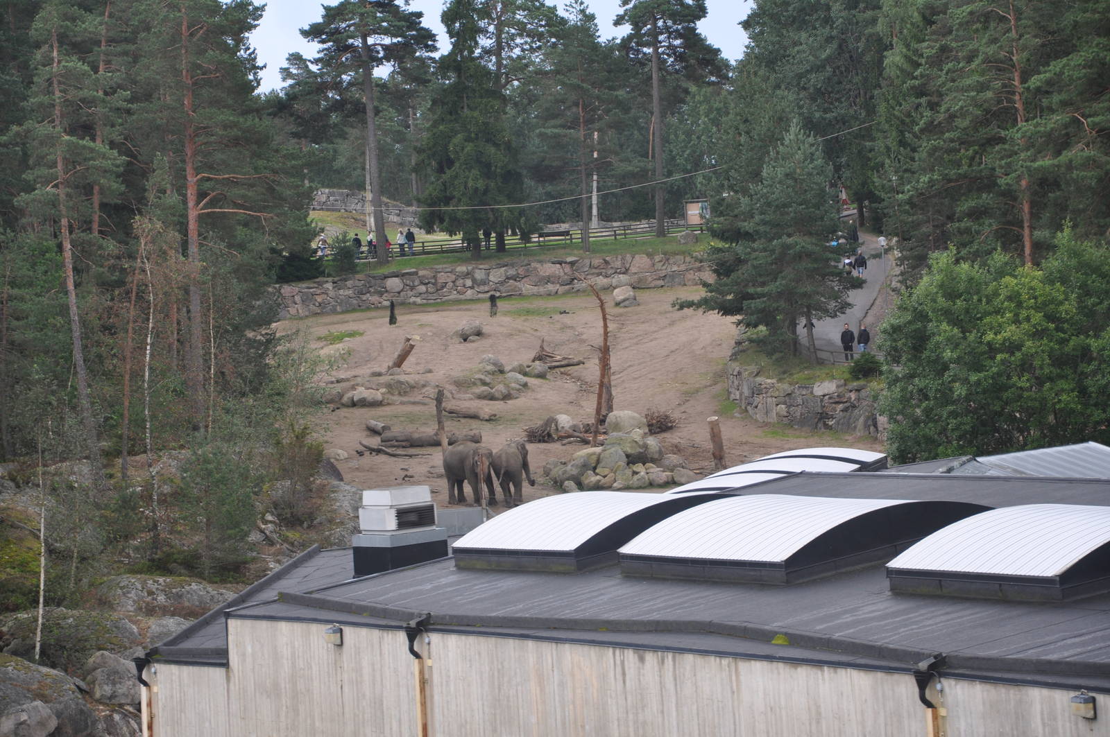 Elephant enclosure