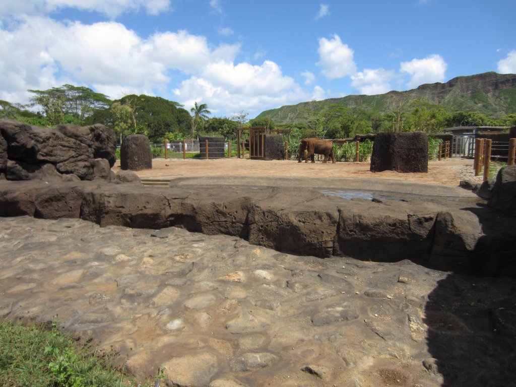 Elephant enclosure