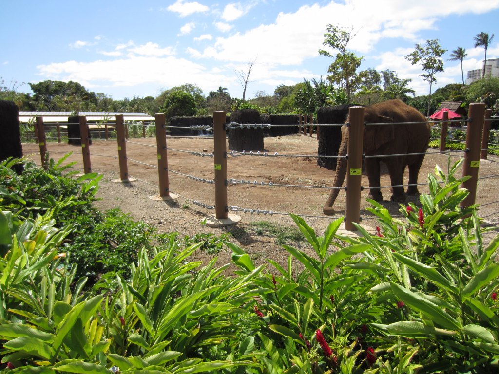 Elephant enclosure