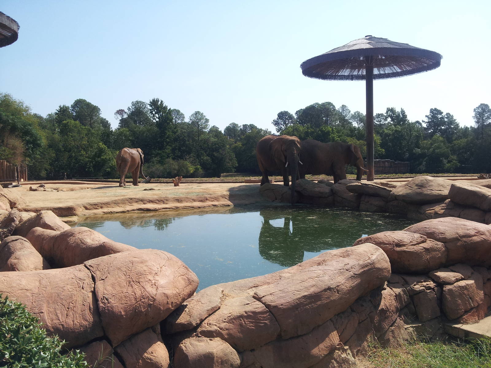 Elephant enclosure