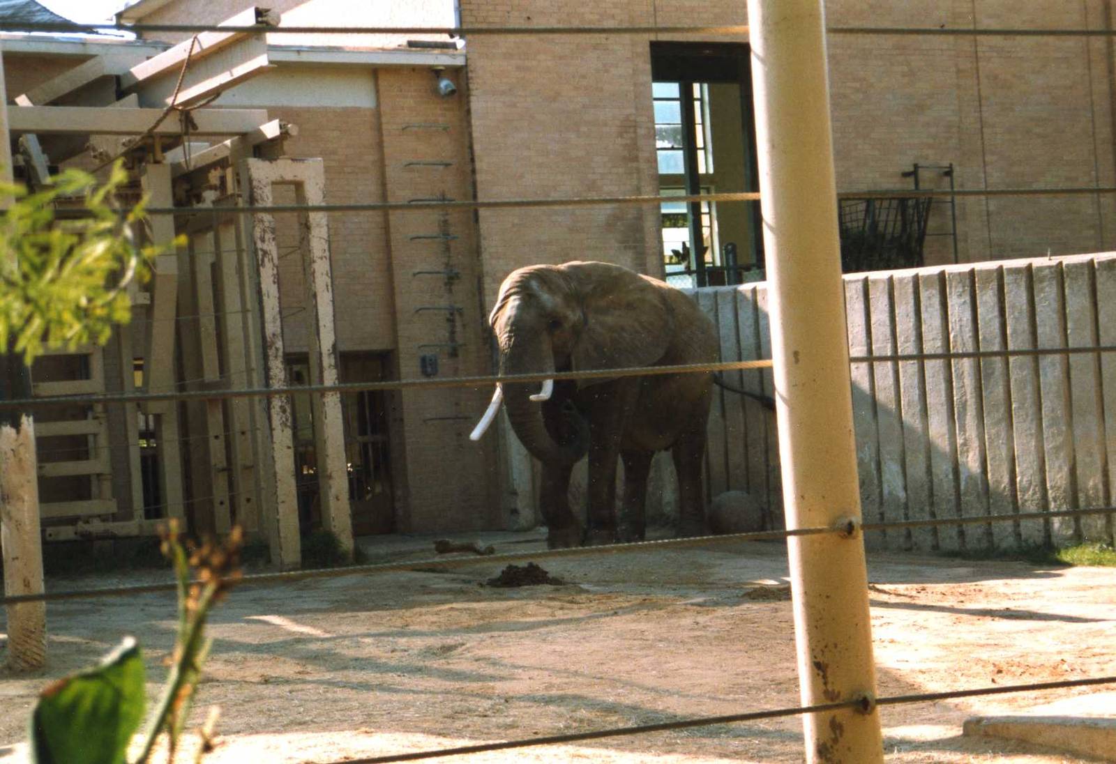 Elephant enclosure