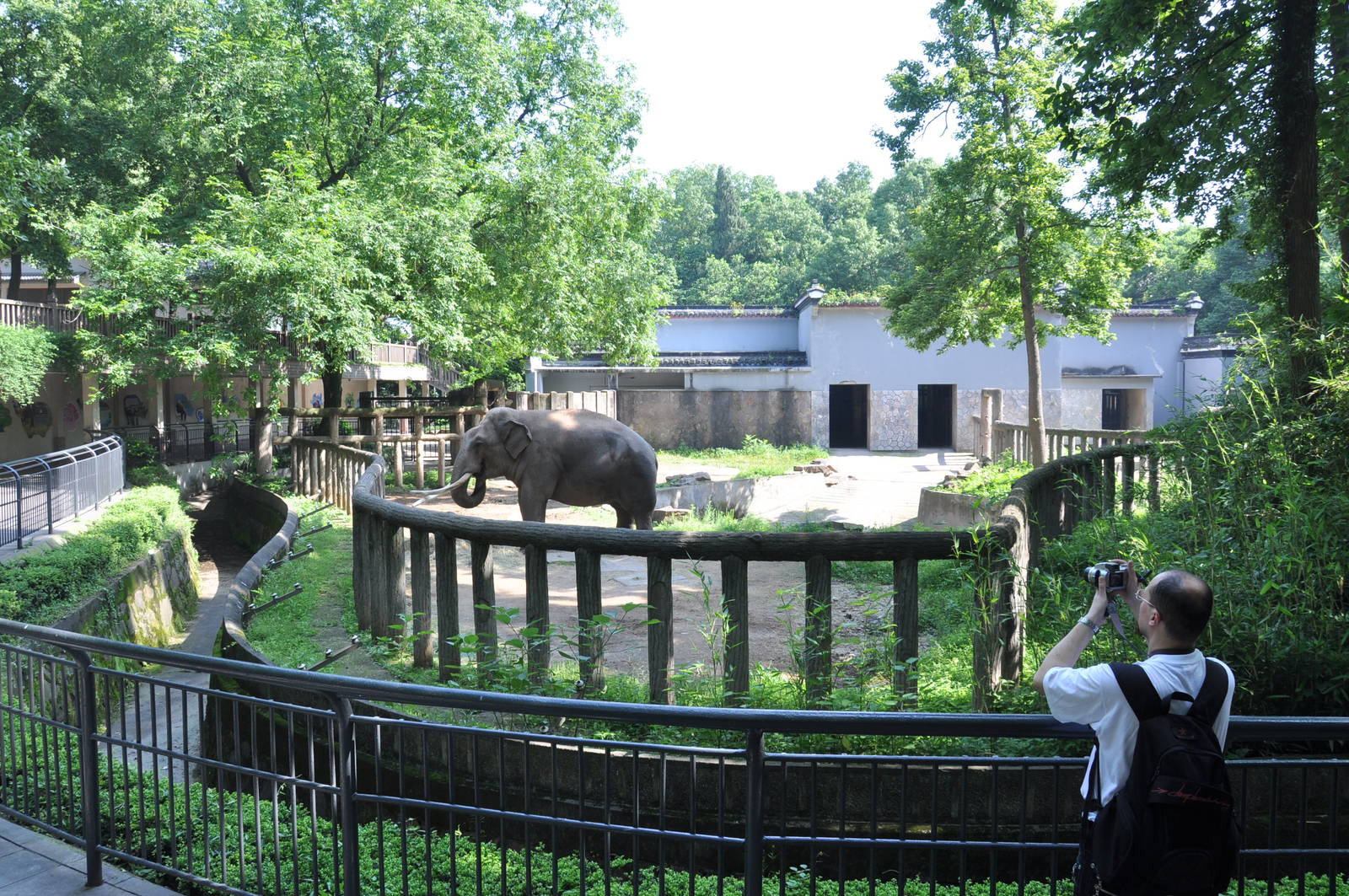 Elephant enclosure