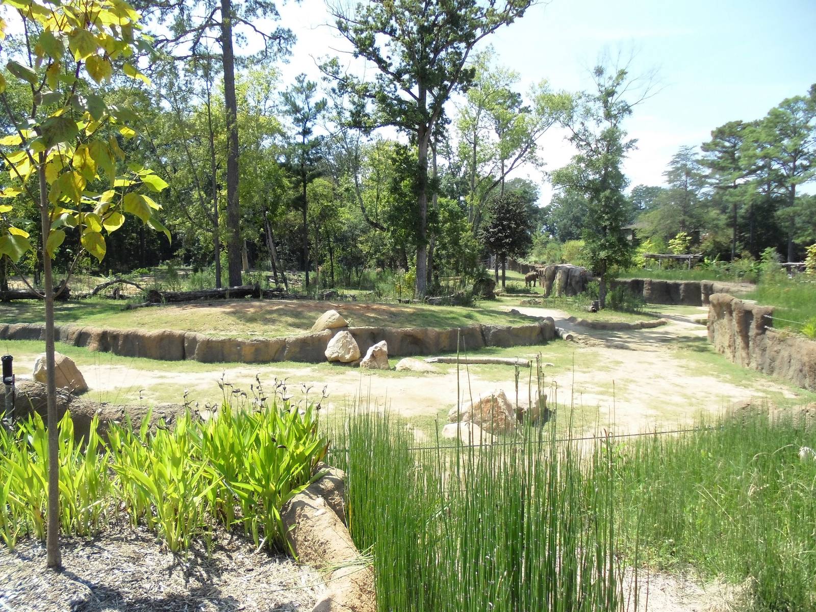 Elephant Enclosure