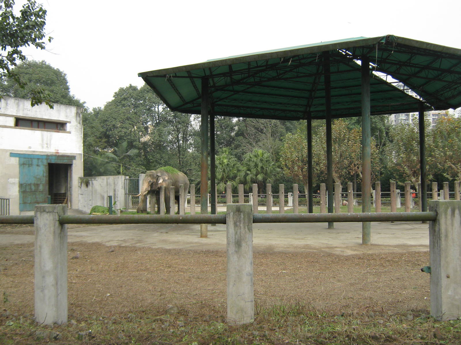 elephant enclosure
