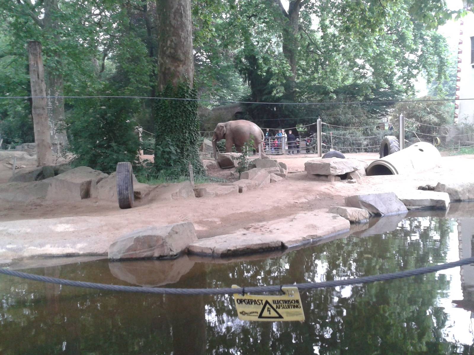 Elephant enclosure
