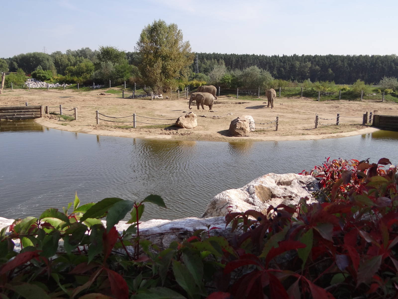 Elephant enclosure
