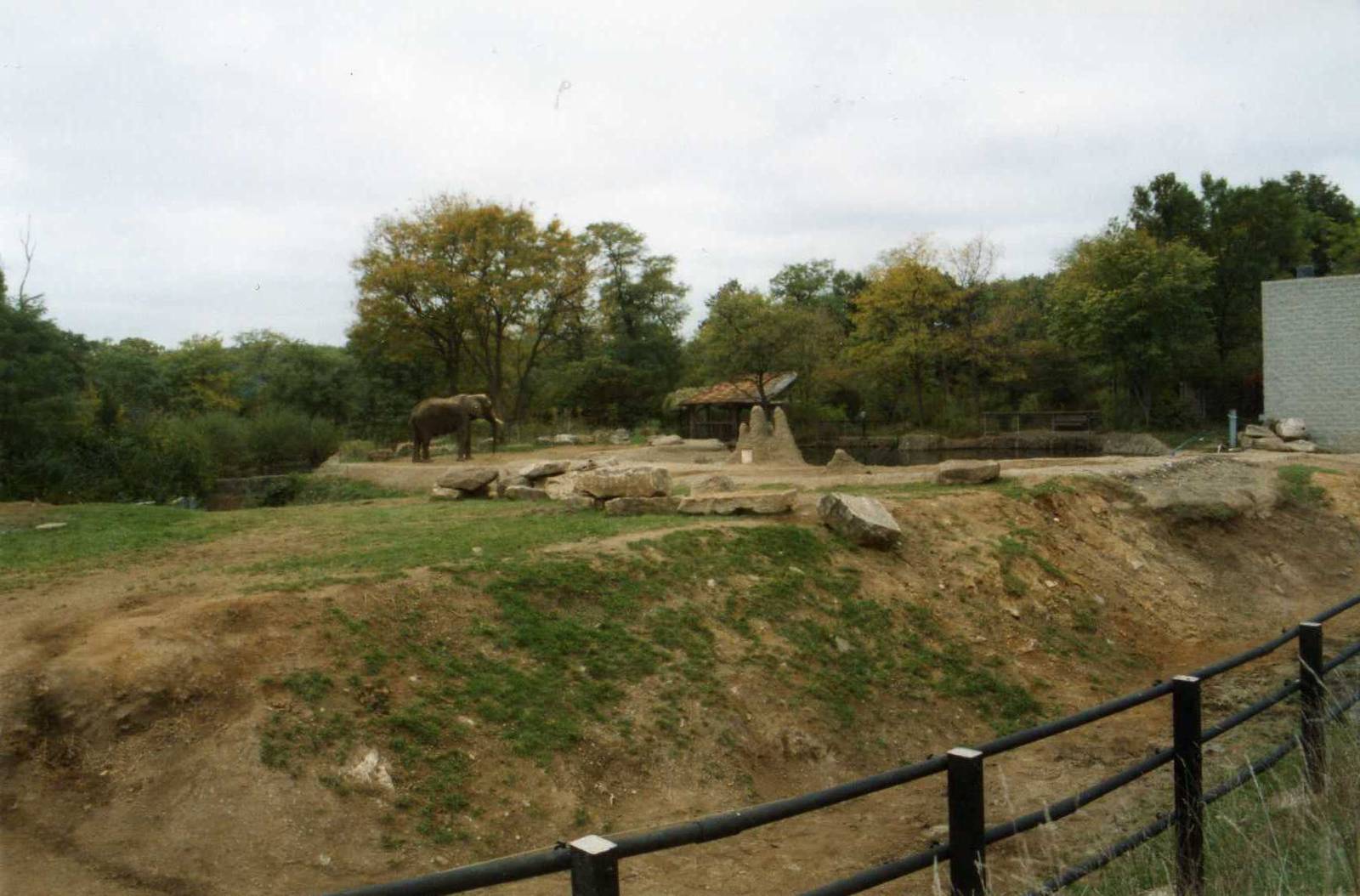 Elephant Enclosure