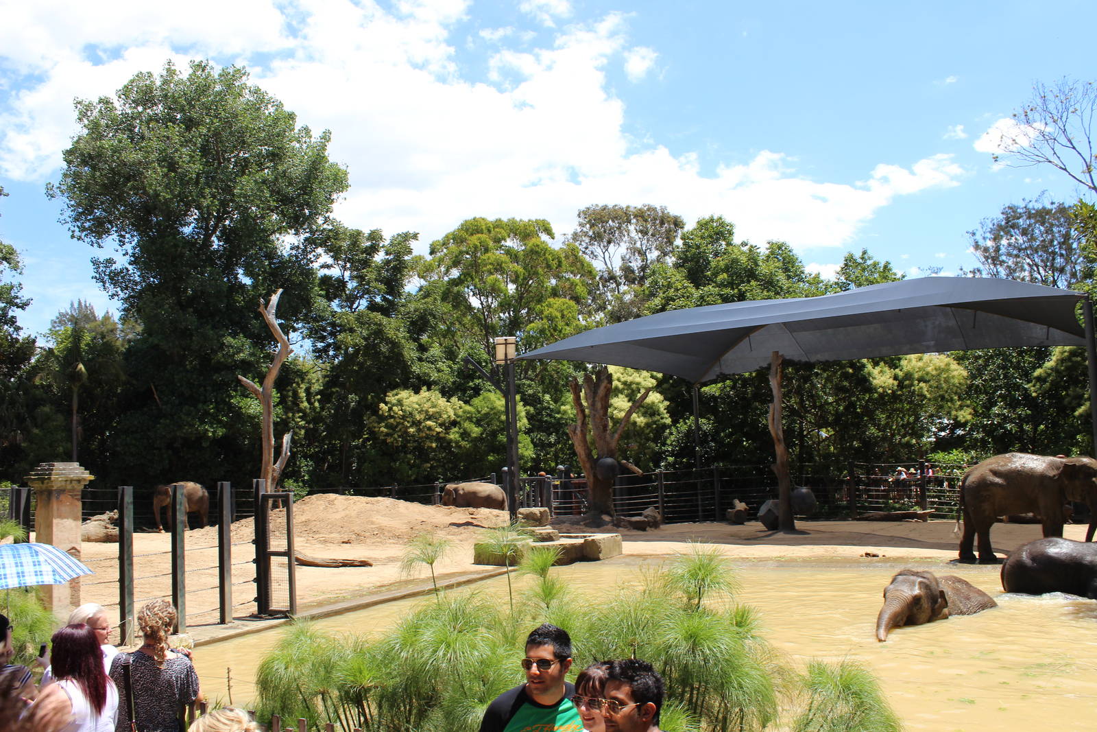 Elephant Enclosure