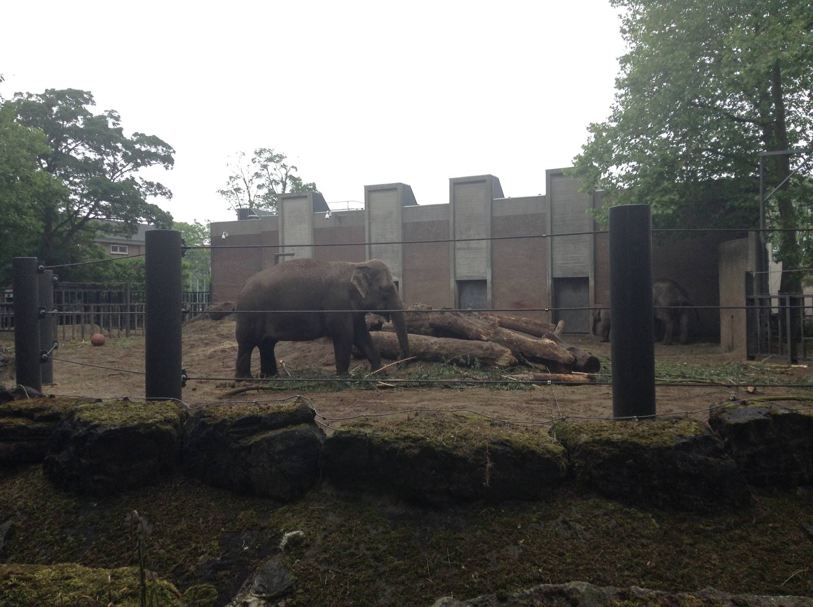 Elephant Enclosure.
