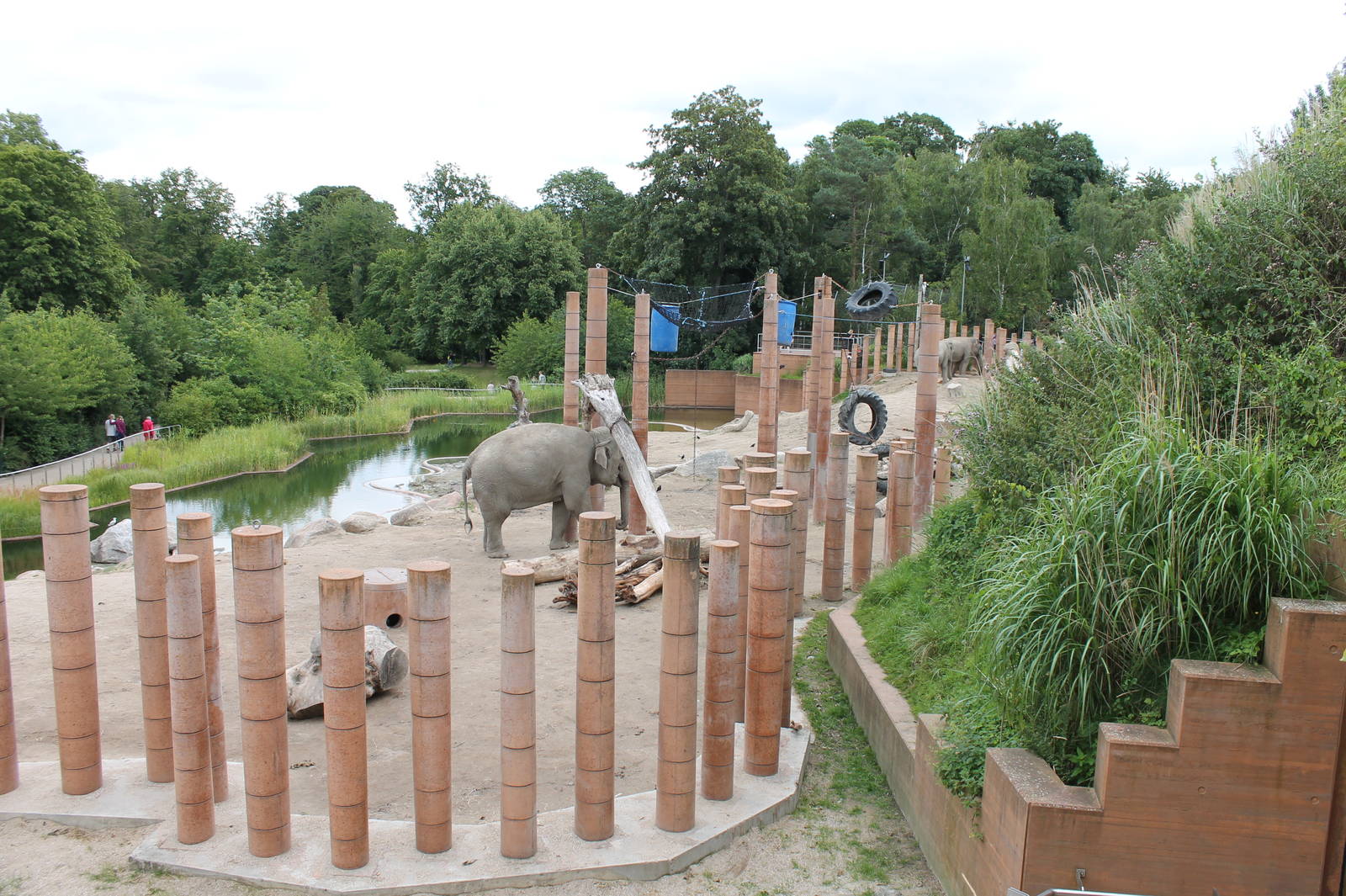 Elephant Enclosure