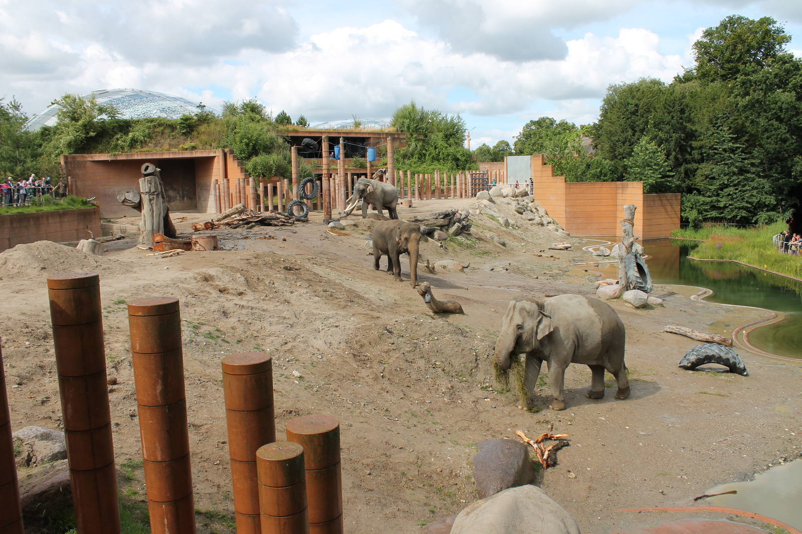 Elephant Enclosure