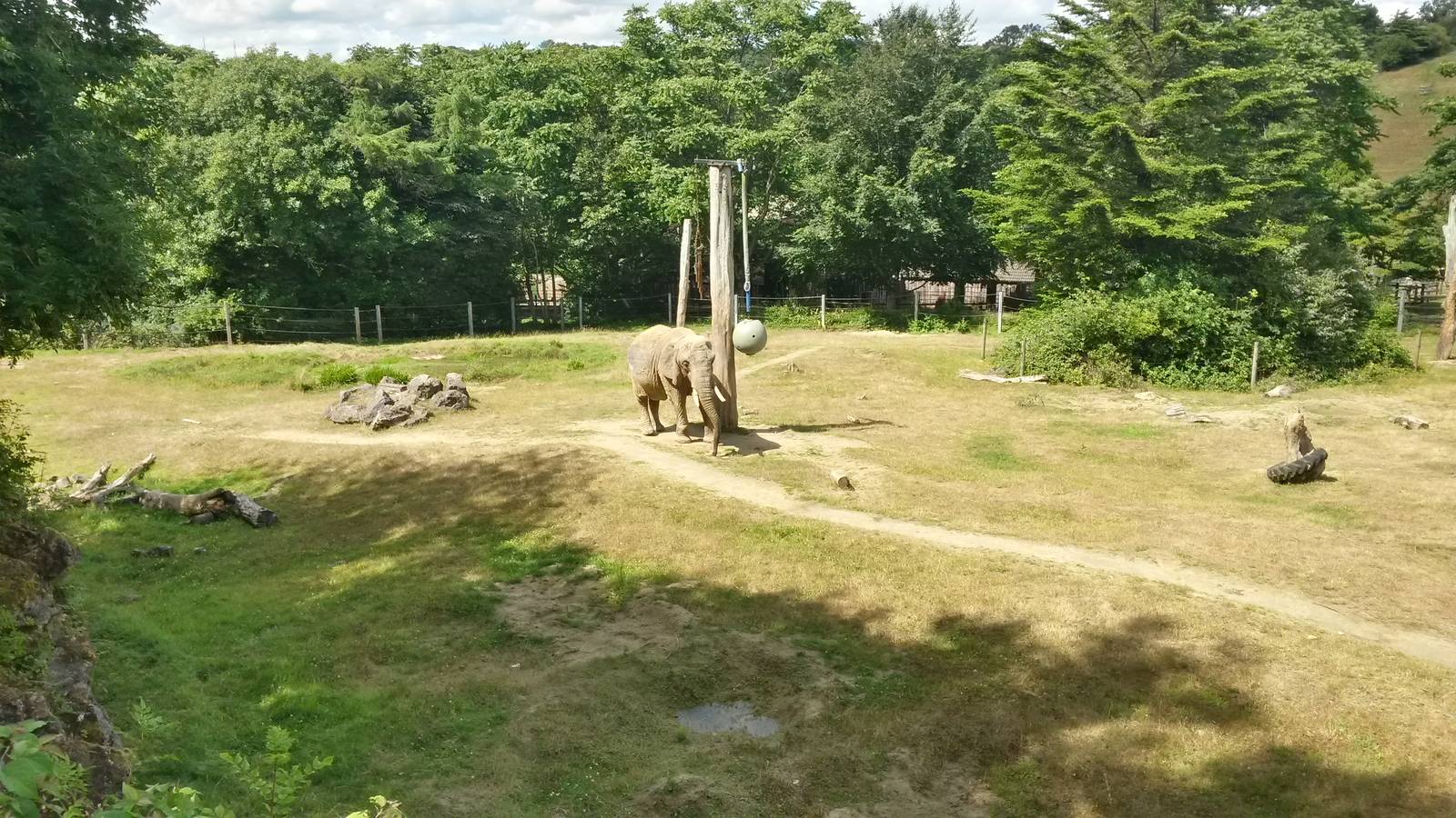 Elephant Enclosure