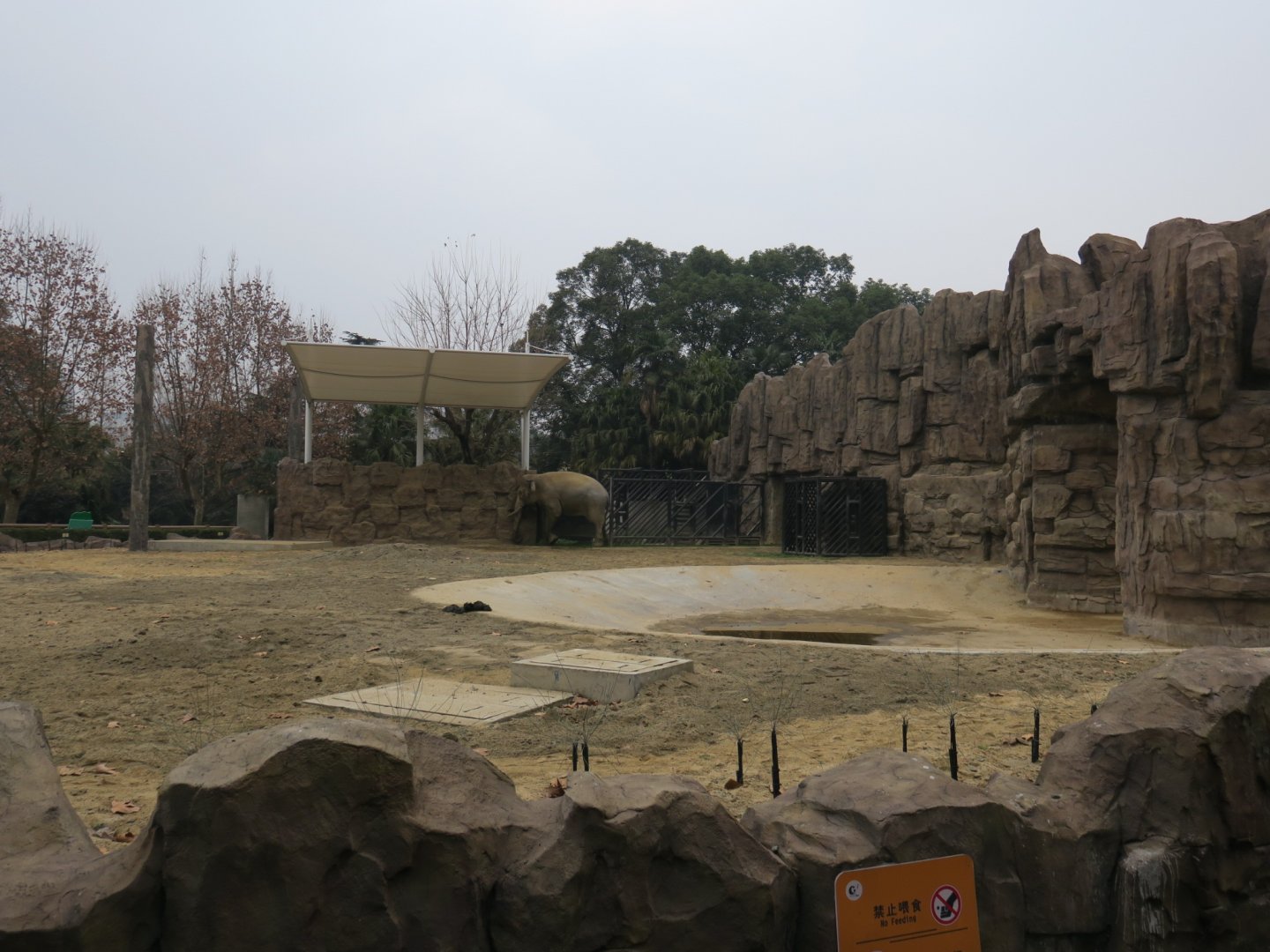 elephant enclosure