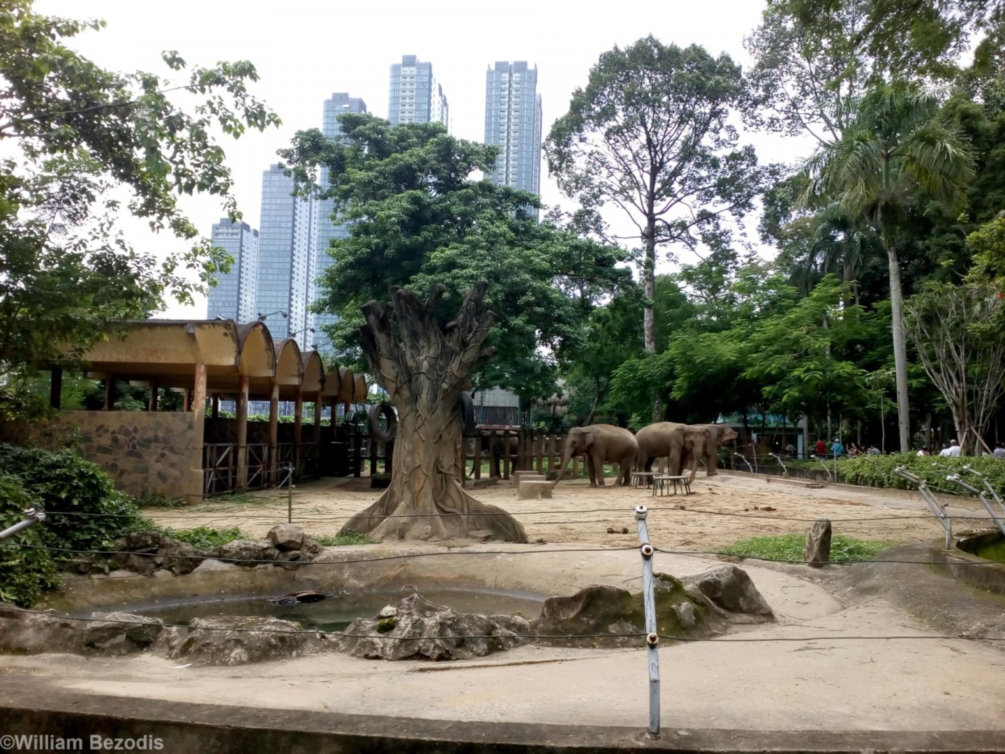 Elephant Enclosure