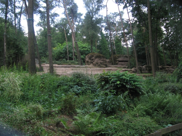 Elephant enclosure