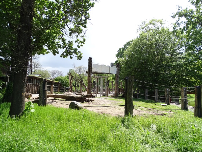 Elephant enclosure