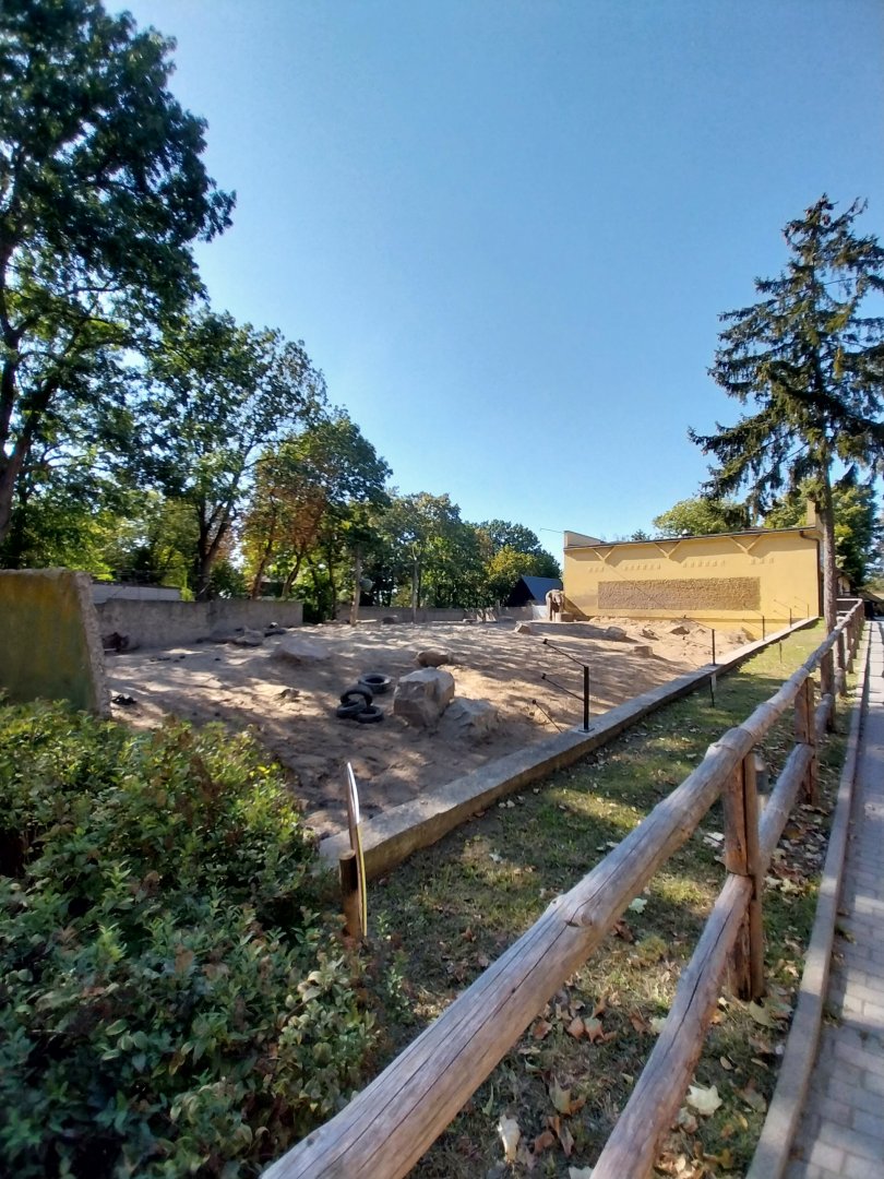 Elephant enclosure