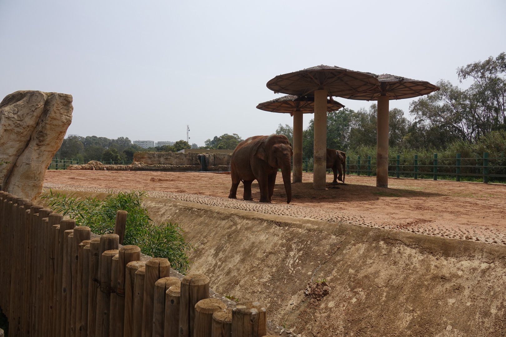Elephant Enclosure