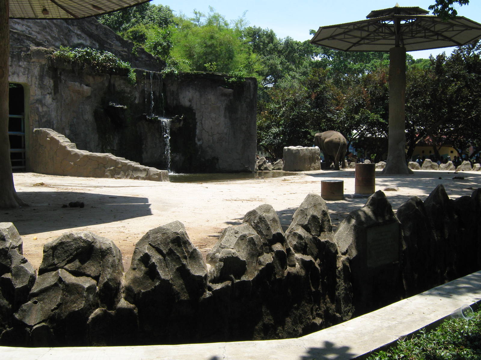 elephant enclosure