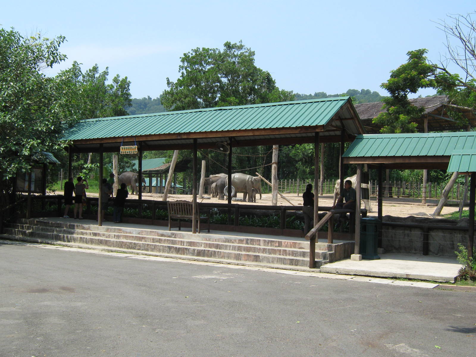 elephant enclosure