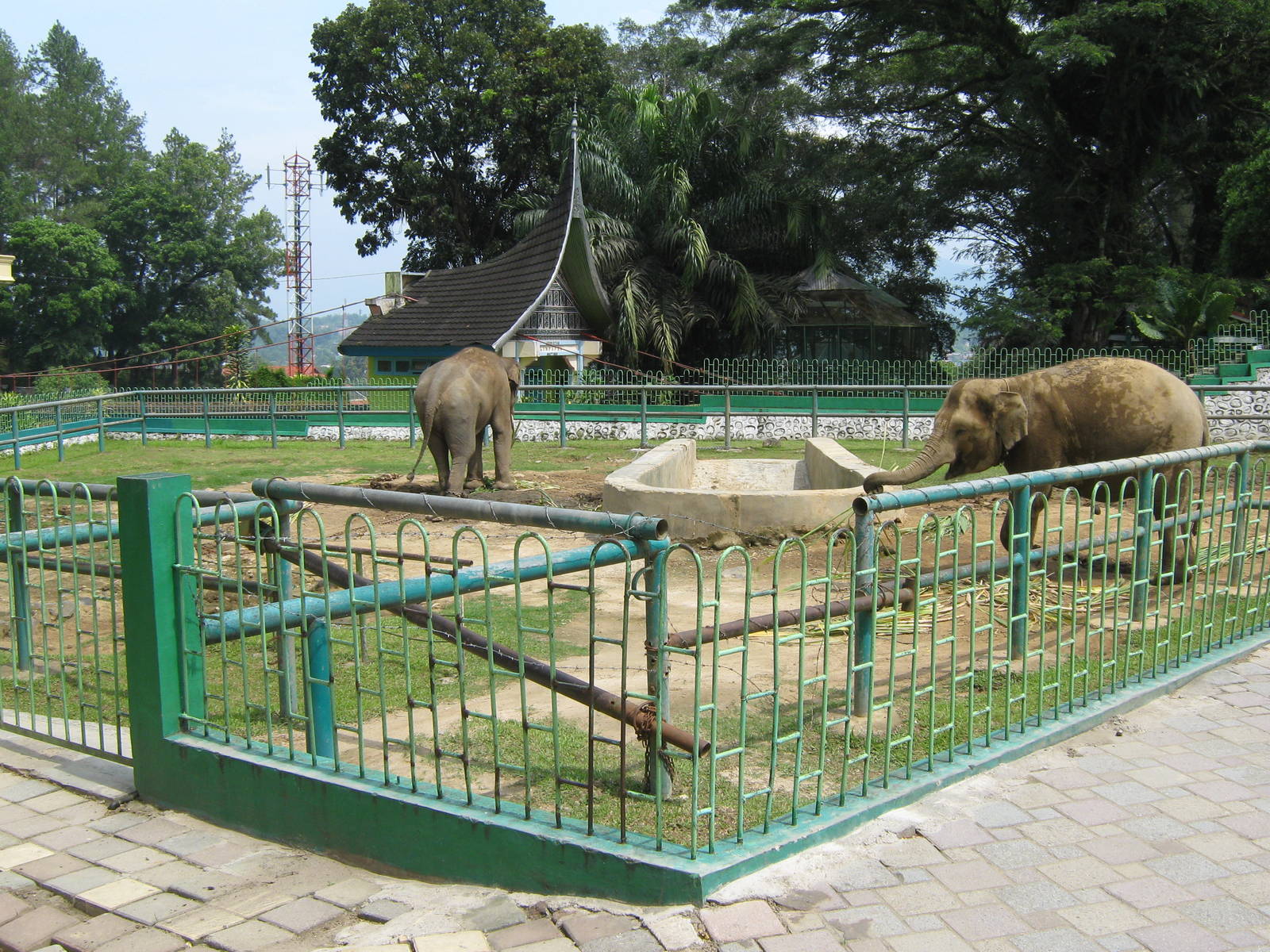 elephant enclosure
