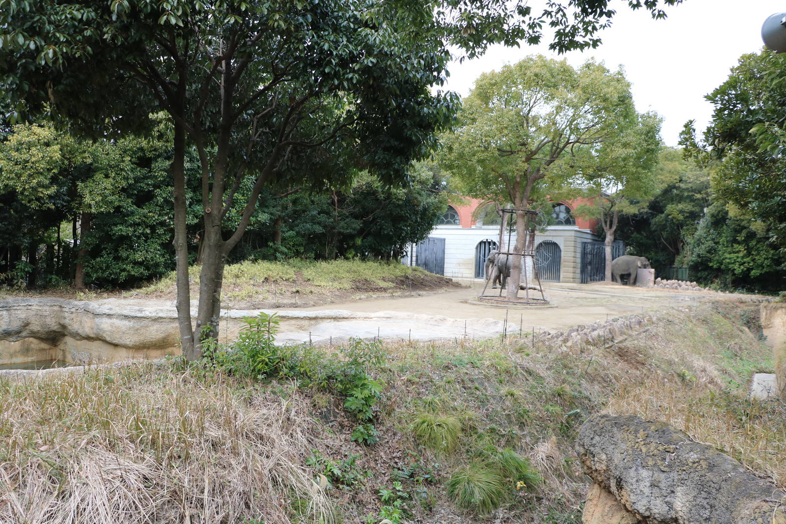 Elephant enclosures, February 2016.
