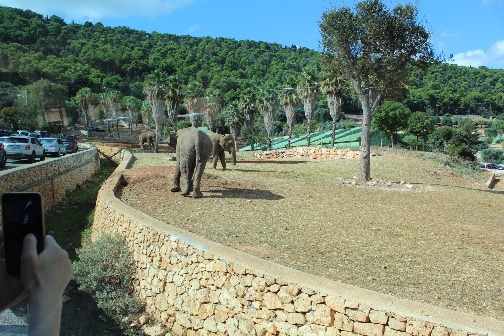 Elephant Enclosures - Oct 2019