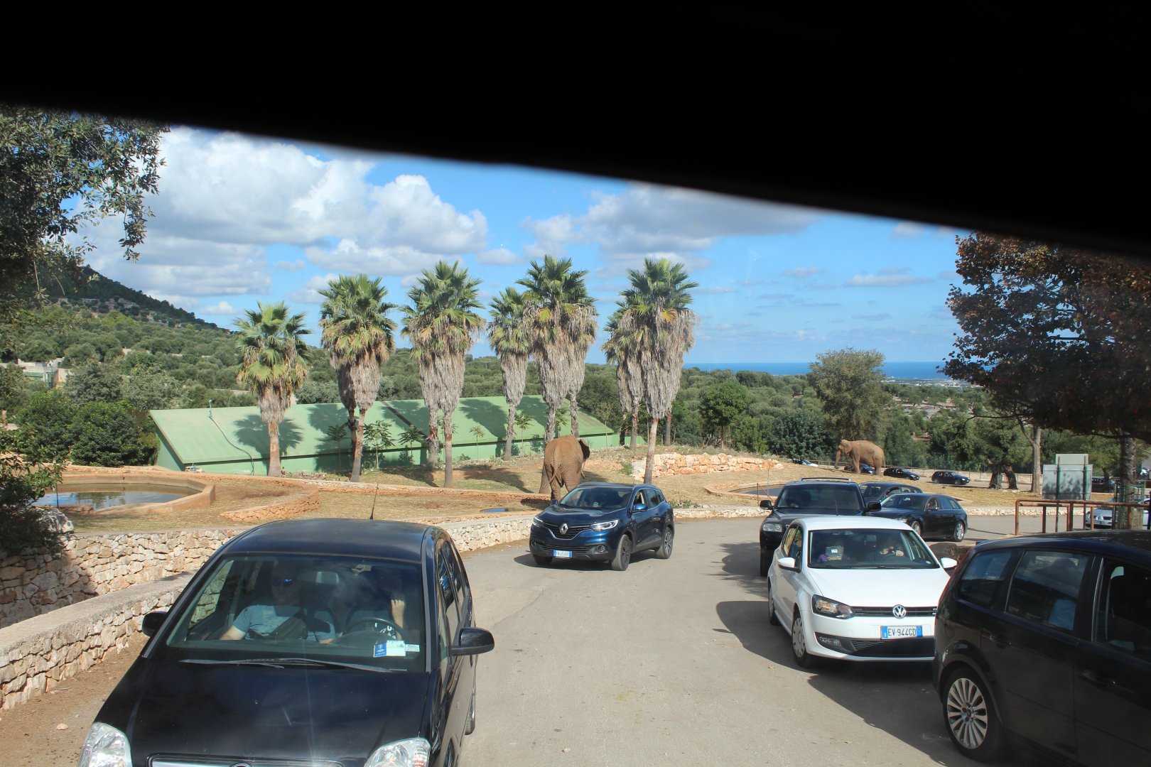 Elephant Enclosures - Oct 2019