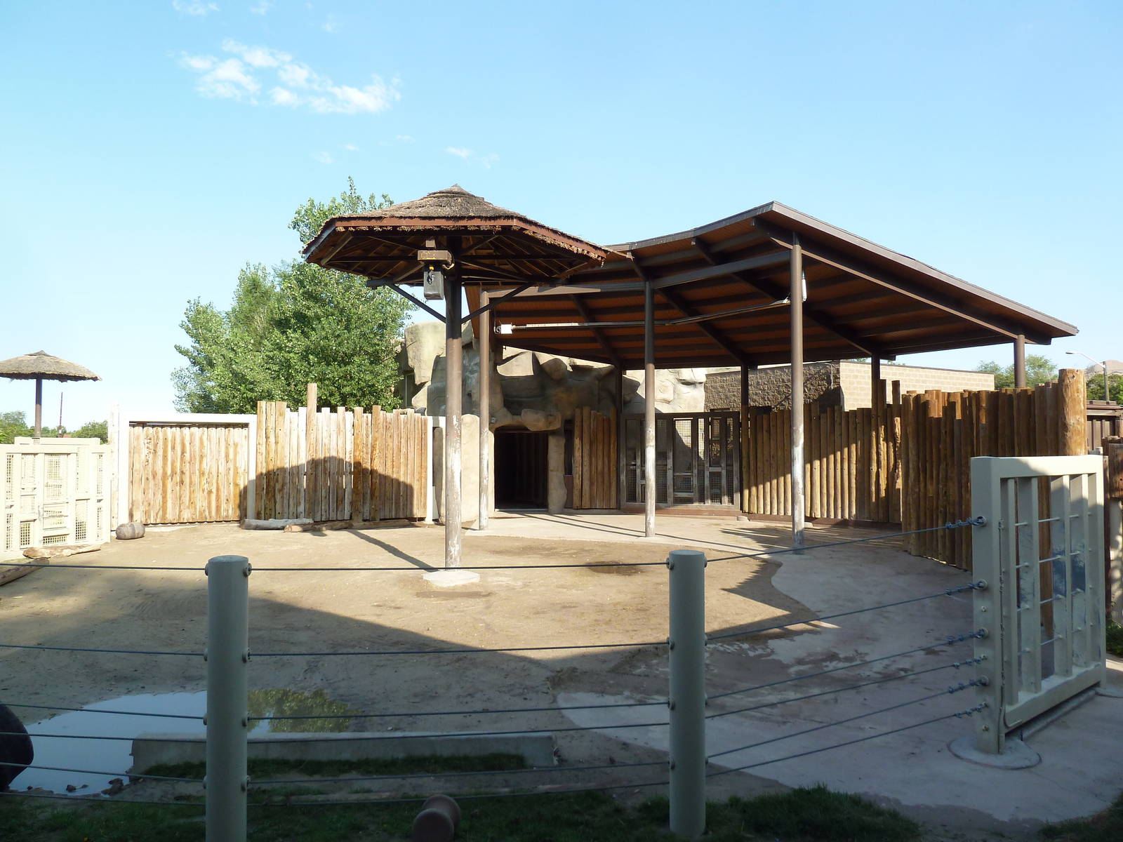 Elephant Encounter - Central Yard