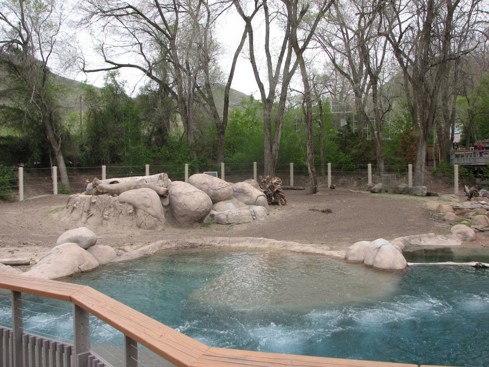Elephant Encounter - East Yard