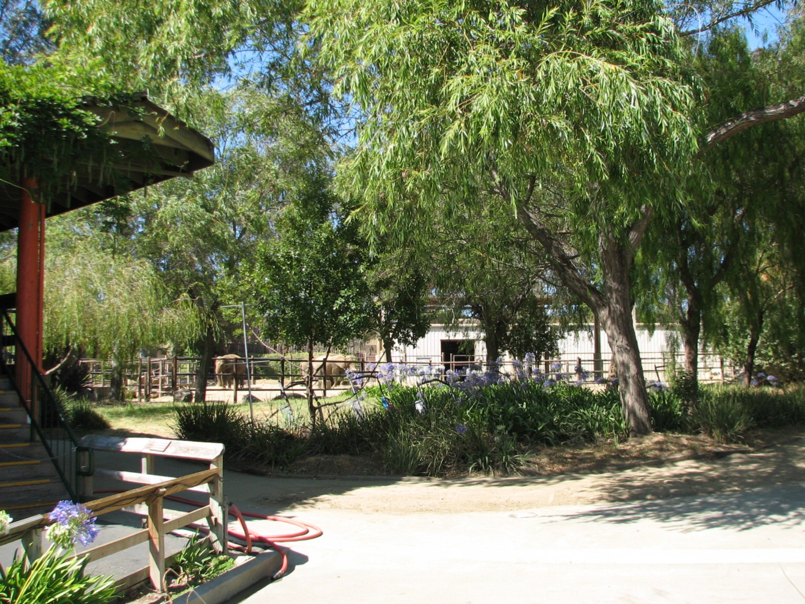 Elephant Encounter - Elephant Ride Area
