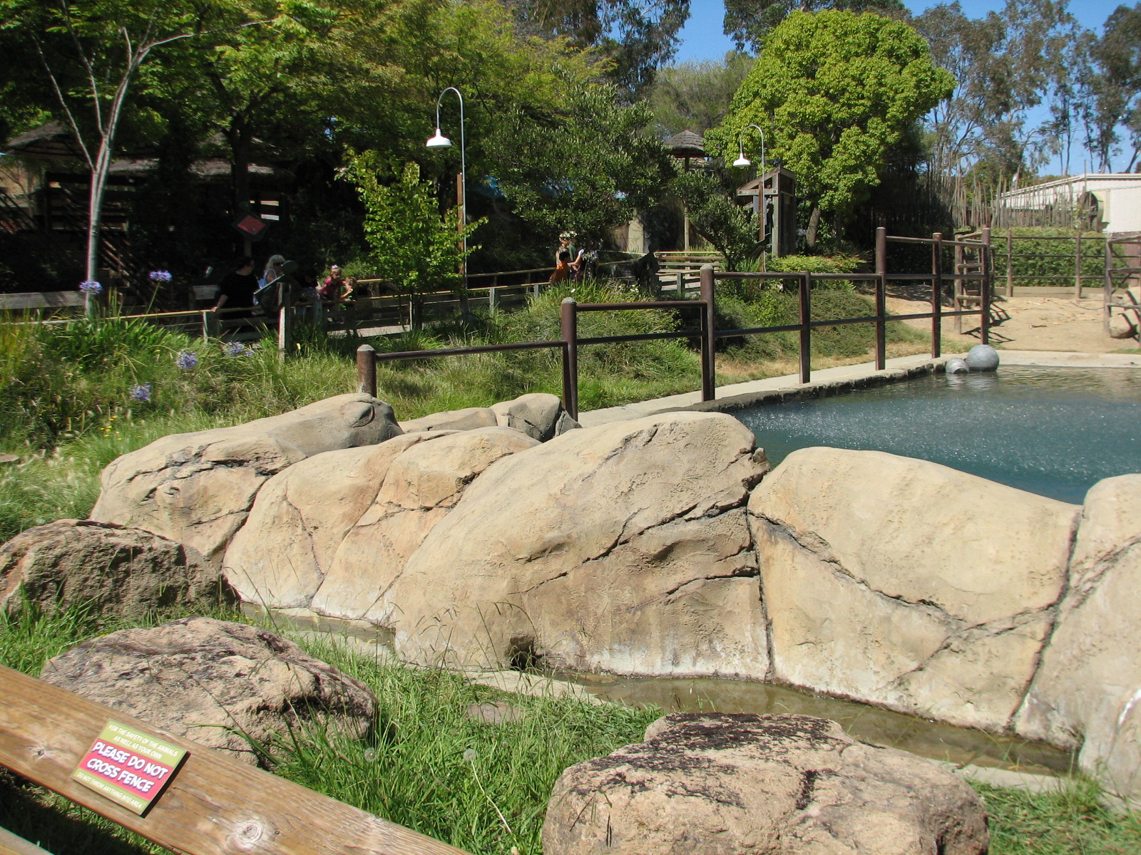 Elephant Encounter - Exhibit Pool