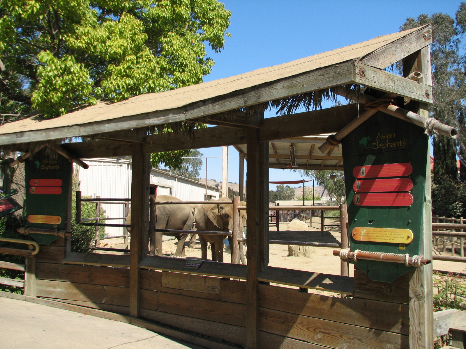 Elephant Encounter - Exhibit Viewing Area
