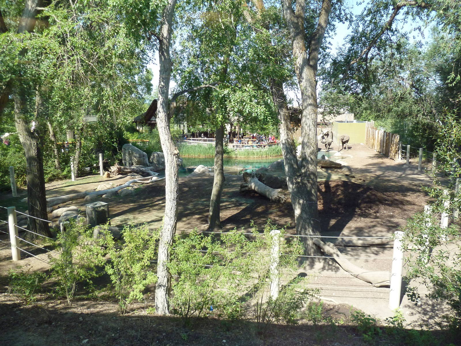 Elephant Encounter (from inside the brand-new restaurant)