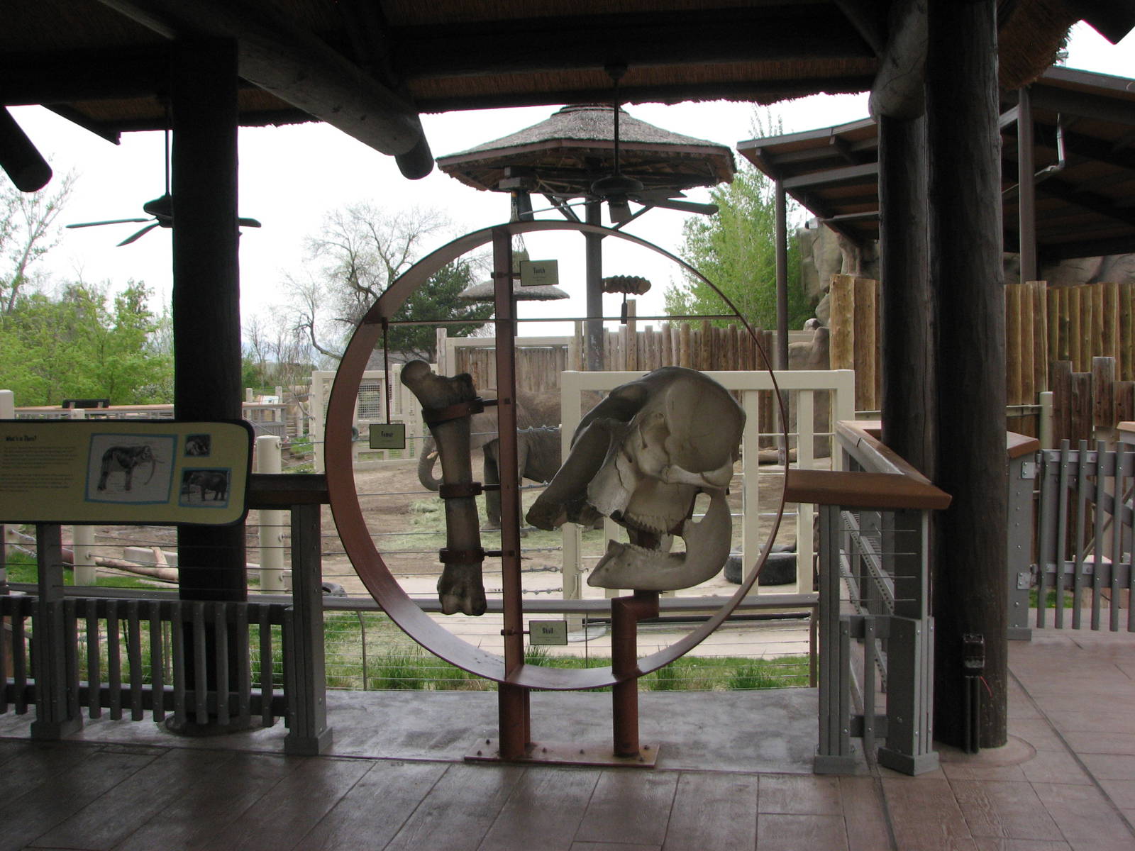 Elephant Encounter - Interpretive Displays and Central Yard