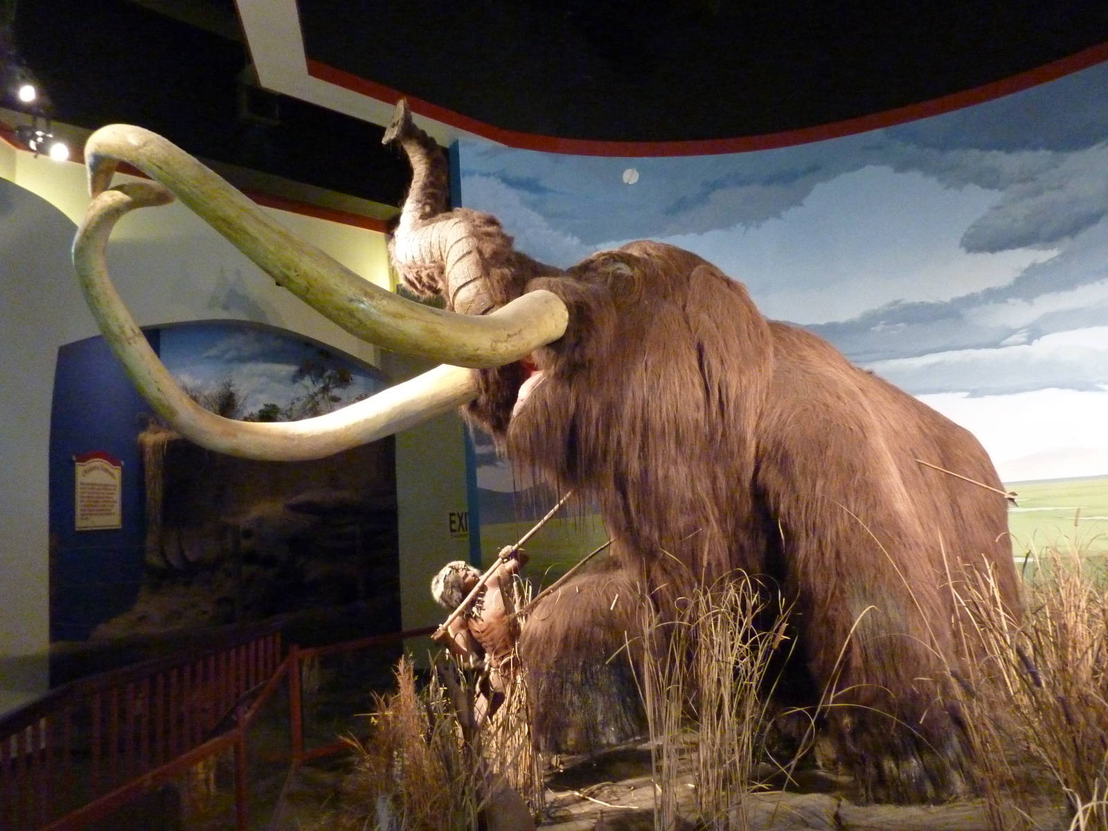 Elephant Encounter - Museum