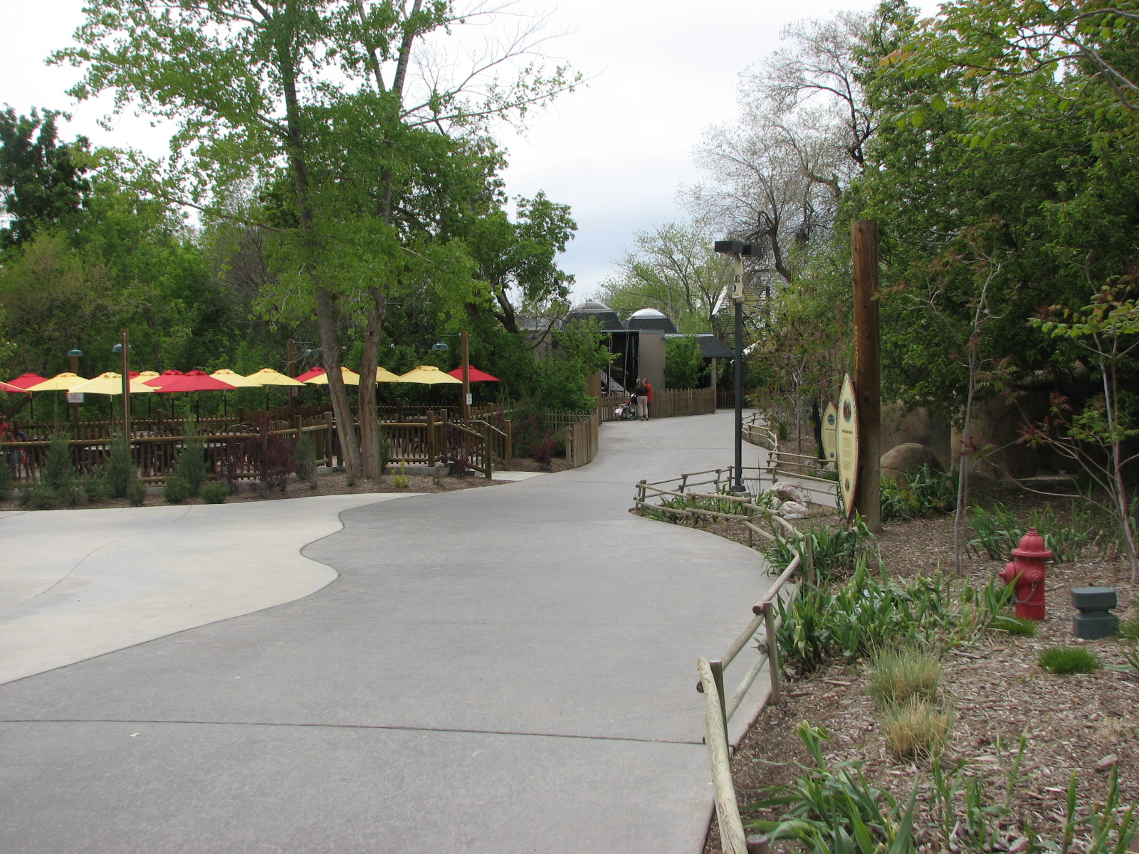 Elephant Encounter - path