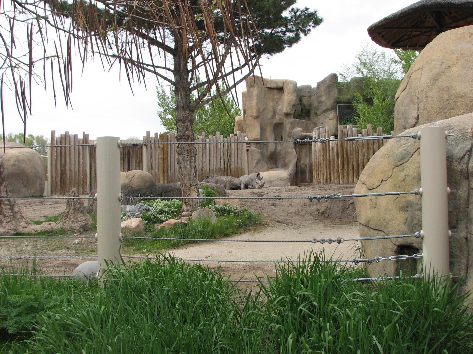 Elephant Encounter - Rhino Yard