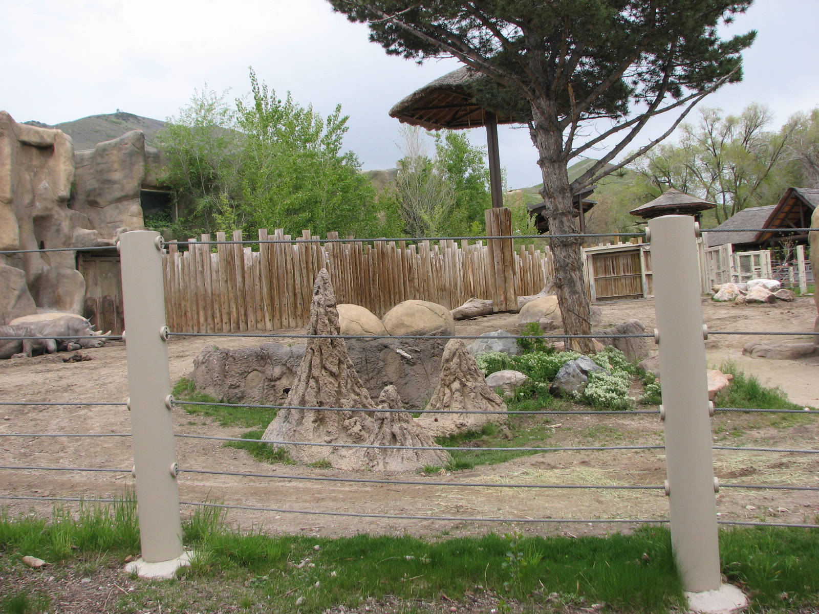 Elephant Encounter - Rhino Yard